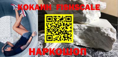 шишки Изобильный