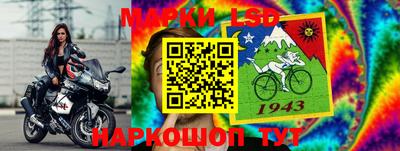 шишки Изобильный