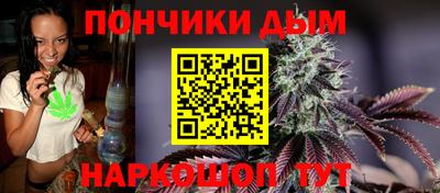 шишки Изобильный