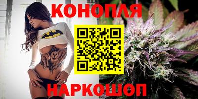 шишки Изобильный