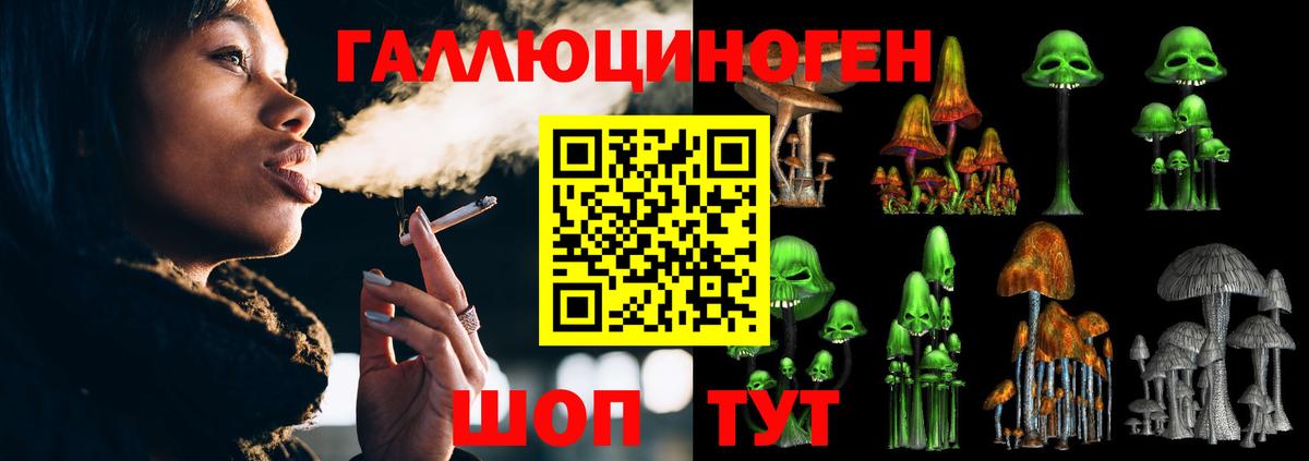 Галлюциногенные грибы мицелий  Вход с VPN  Добрянка  Галлюциногенные грибы Cubensis 
